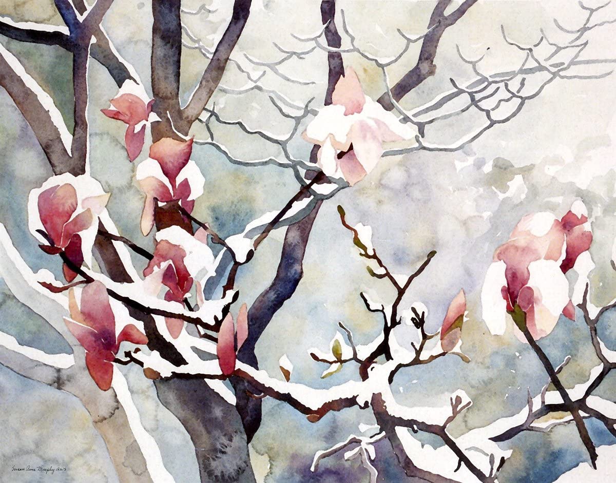 雪中玉兰花盛开